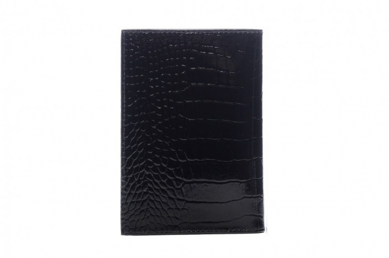 Бумажник водителя Гекон черный FT-BS01-KR01