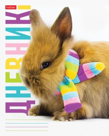 Дневник для 1-11 классов "Кролик в шарфике" 40Д5В_27159 (50)